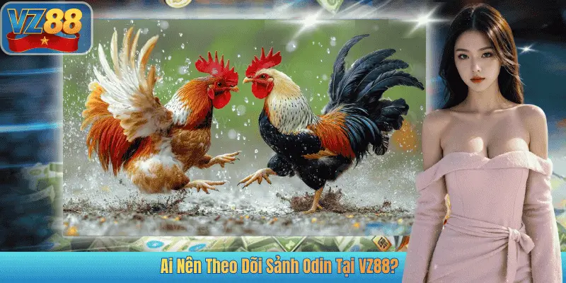 Ai Nên Theo Dõi Sảnh Odin Tại VZ88?