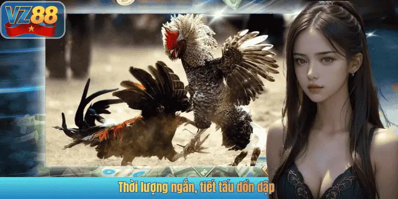 Thời lượng ngắn, tiết tấu dồn dập